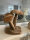 Teak Holz Skulptur Pilze Set  Designs H&ouml;he ca.30cm  Figur Holz Natur Unikat